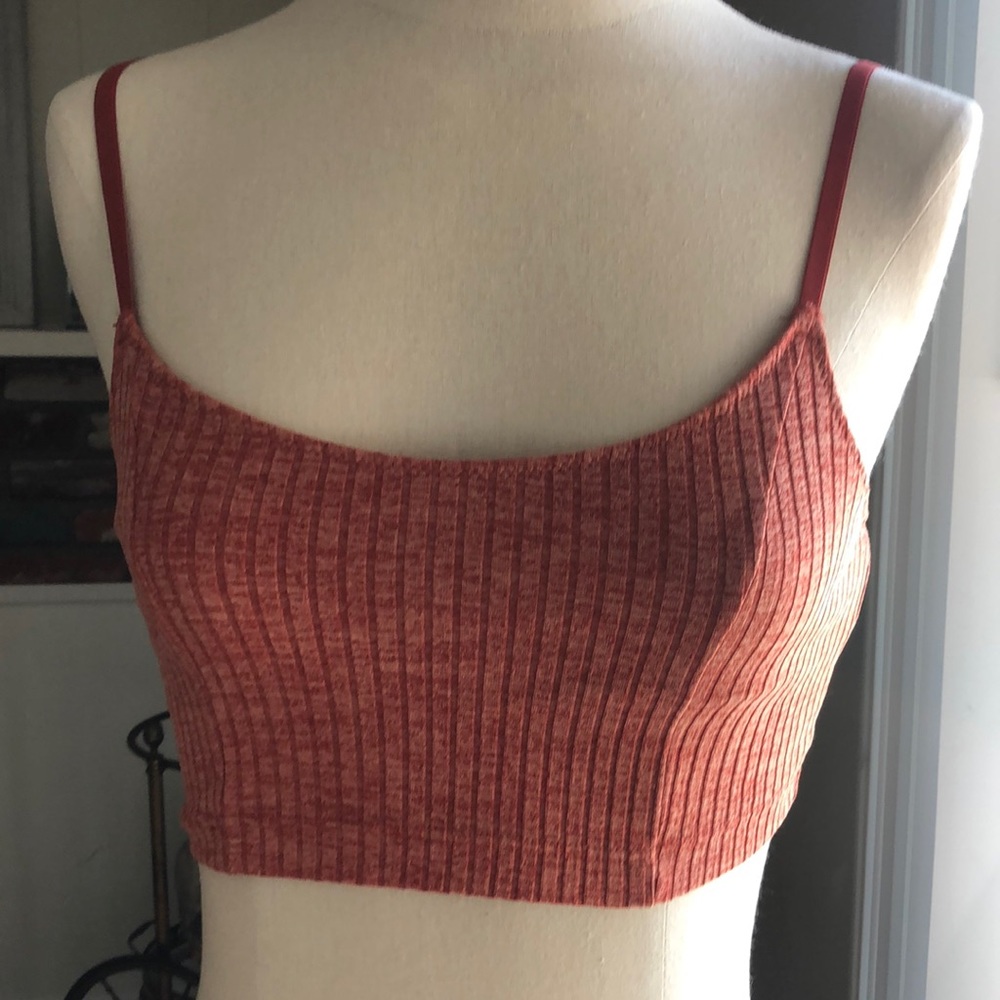 aerie Crop Top